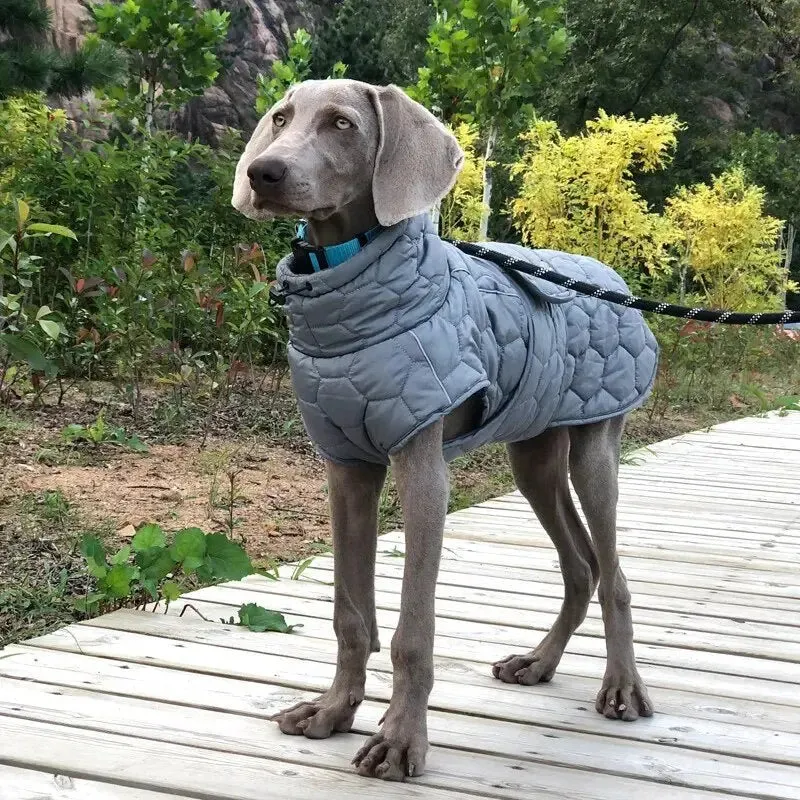 Anniepaw Highland Hound Reflective Winter Coat: Luxe Warmth for All Breeds