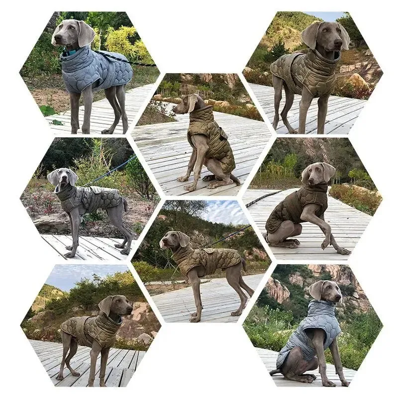 Anniepaw Highland Hound Reflective Winter Coat: Luxe Warmth for All Breeds