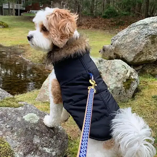 Aspen Puffer Dog Coat