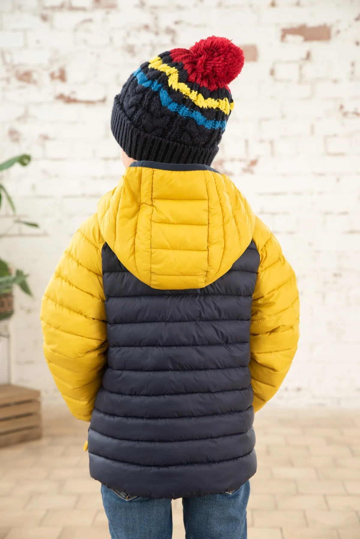 Carter Coat - Navy Yellow