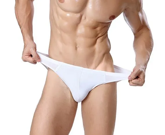 Chenke 365 New Men's Silk Seamless Breathable Spandex Briefs Factory Wholesale Sexy Mens Bikini Underwear Latex Men Gay