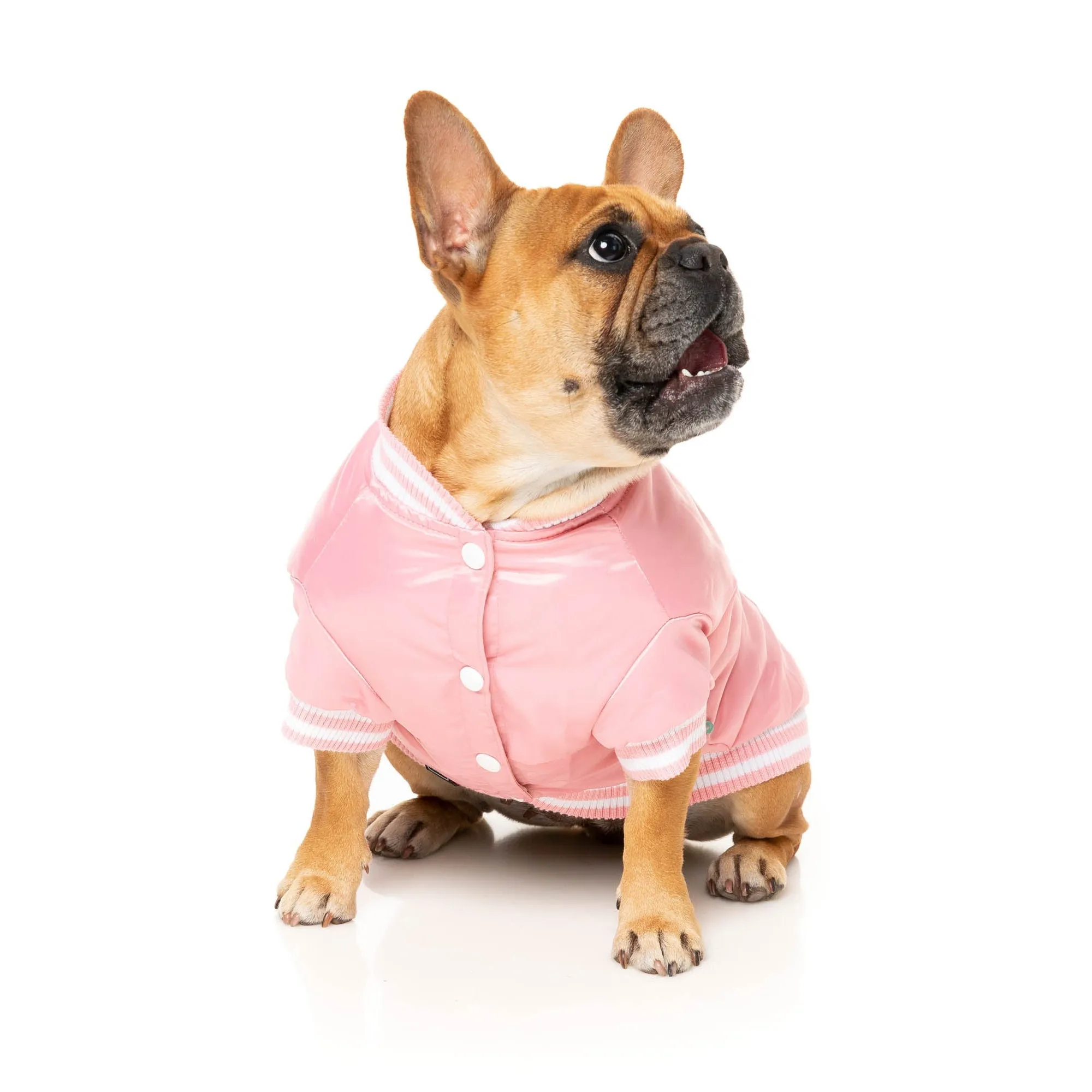 FuzzYard Dog Apparel Fastball Jacket Pink Size 5 Large***