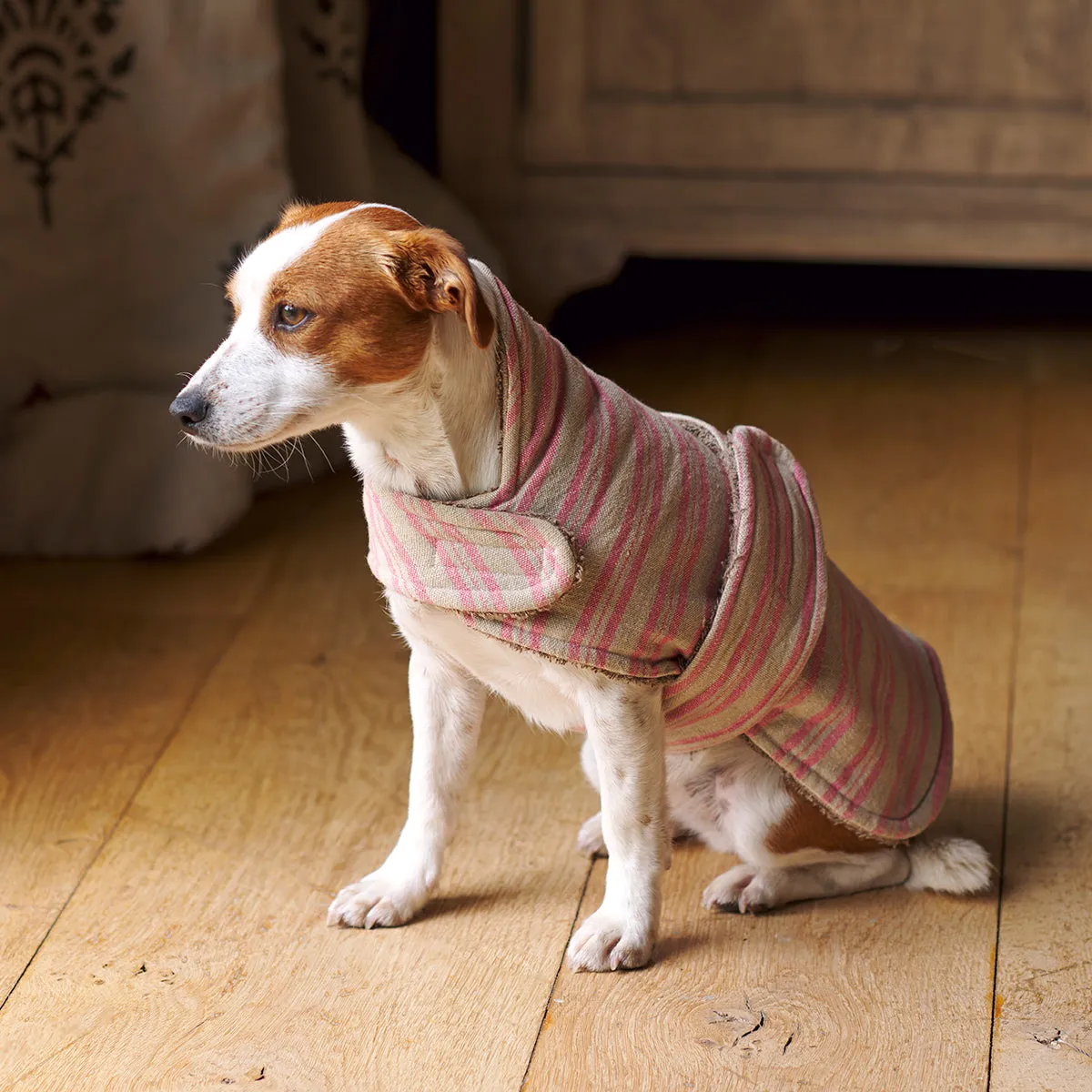 Rose Stripe Dog Coat