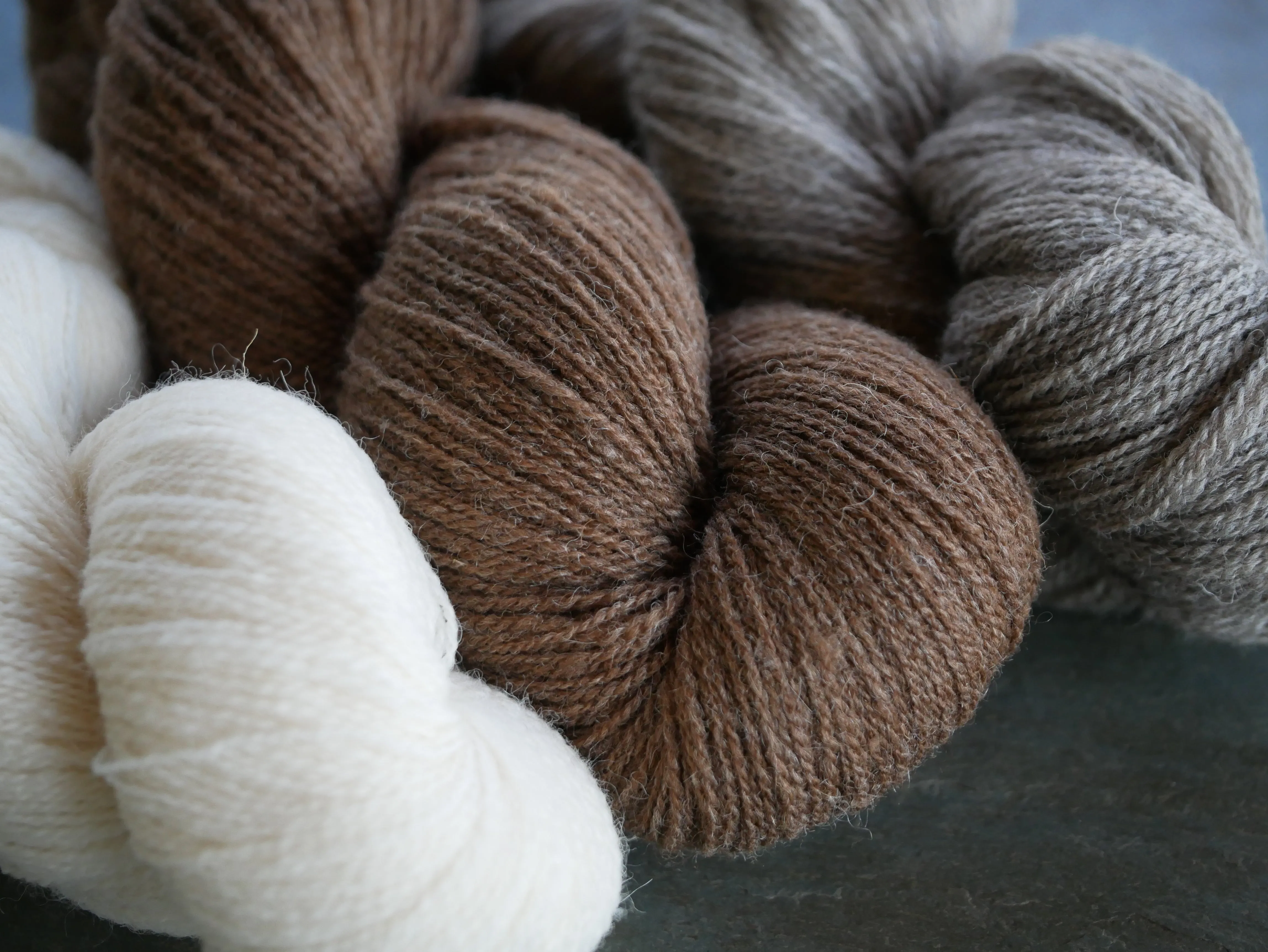 Shetlandia Fingering <br><small>100% british shetland wool</small>