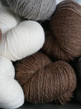 Shetlandia Fingering <br><small>100% british shetland wool</small>