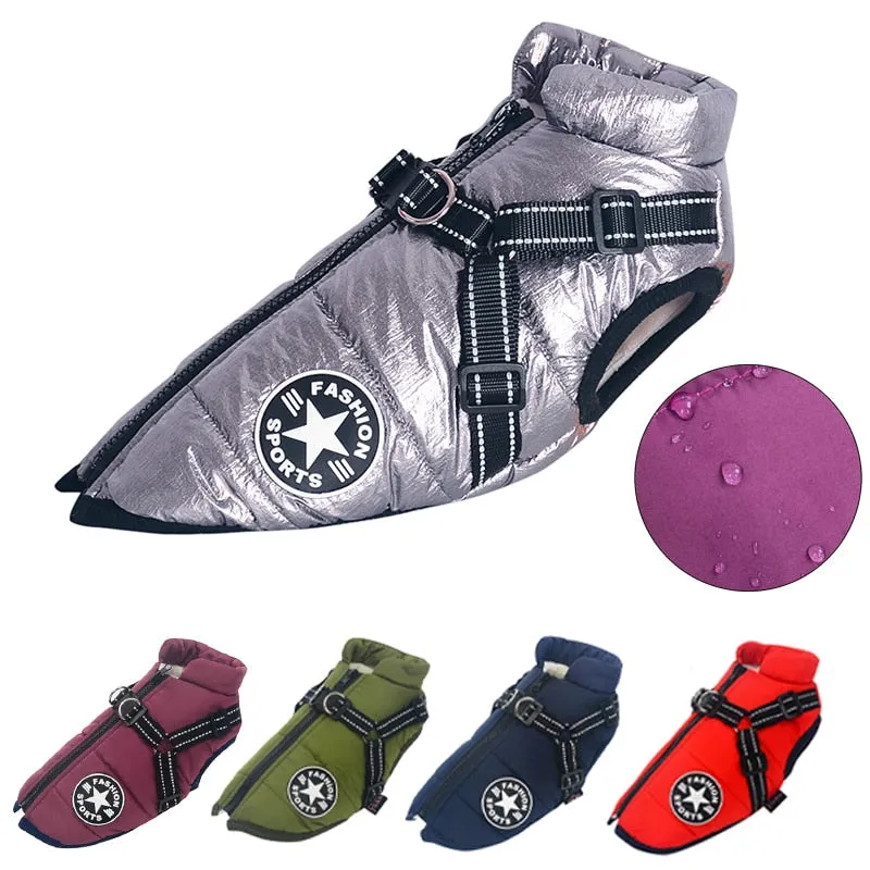 Waterproof Dog Raincoat with Harness