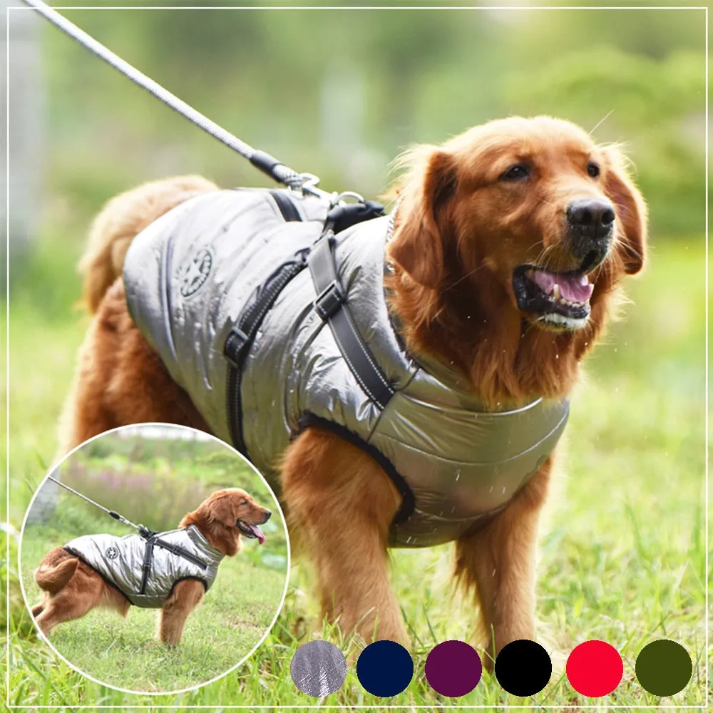 Waterproof Dog Raincoat with Harness